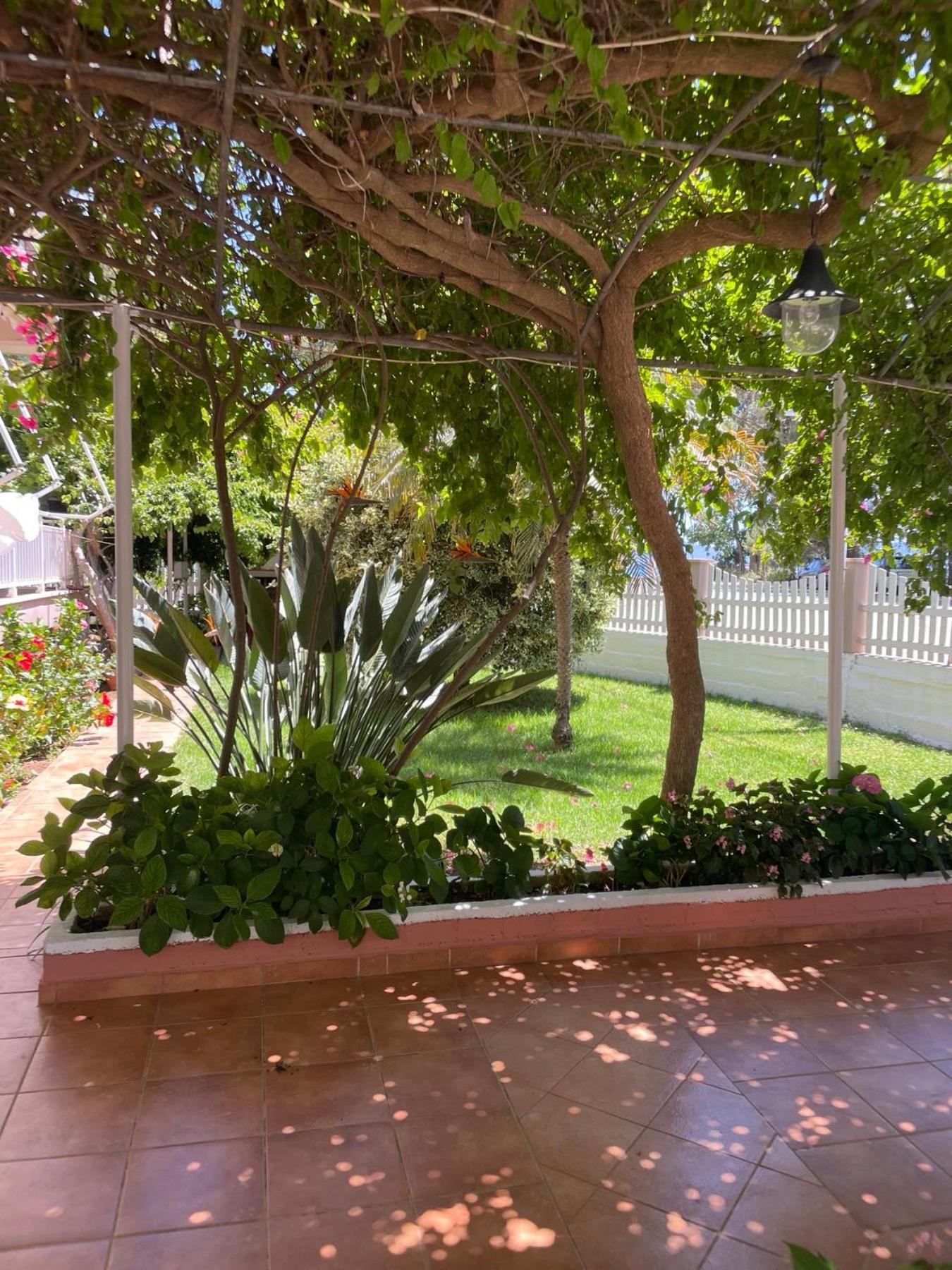 פרבזה Buganvillas Studios מראה חיצוני תמונה