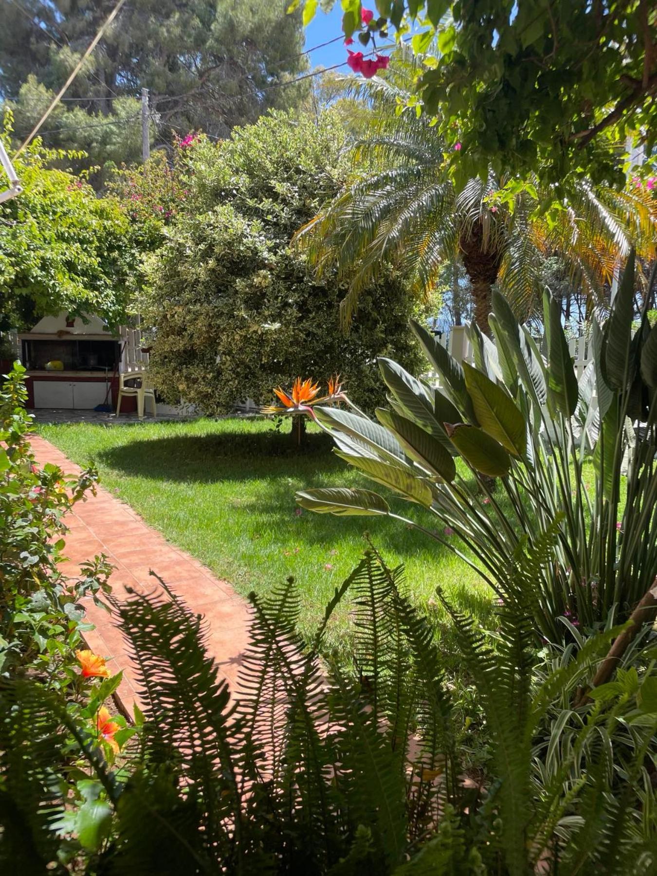 פרבזה Buganvillas Studios מראה חיצוני תמונה